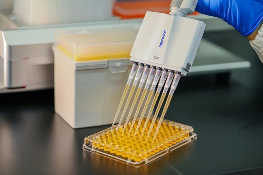 Naon tips pipette katuhu pikeun anjeun?